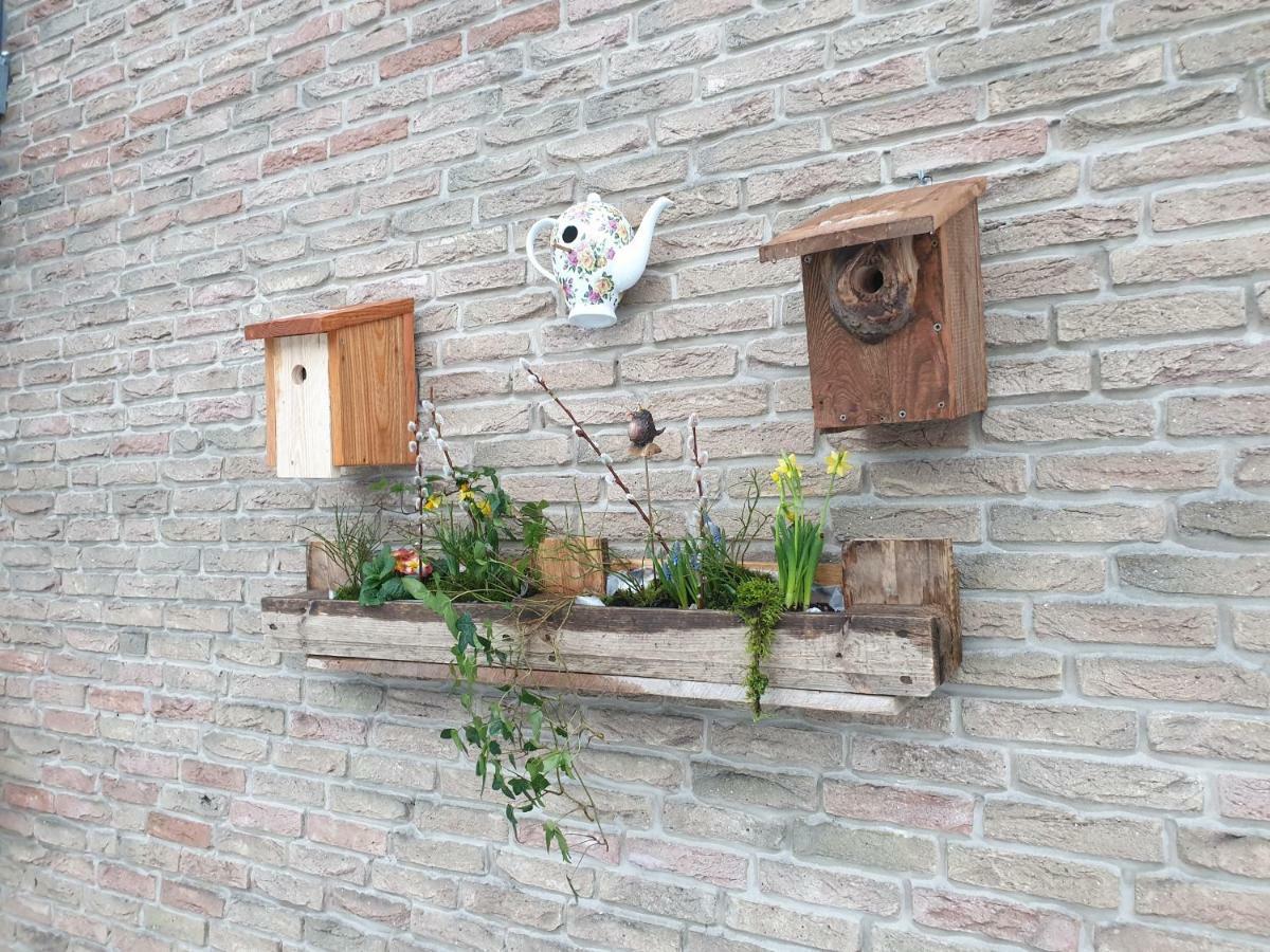 Ferienwohnung Vogelvilla Altenbeken Εξωτερικό φωτογραφία